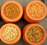 Millets & Ancient Grains